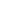 VILLAGE EXPERT, GIFT