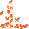 leaves