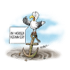 Möwe