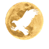 Aquila nella luna piena luna