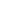 Greyhound greyhound