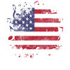 USA flag music