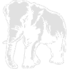 Elephant - Elefant