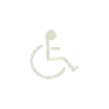Wheelchair user