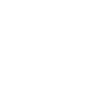 Labrador papa papa