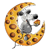 The Mouse Love Cheese
