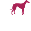 Whippet