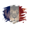 France Flag & African Lion Picture