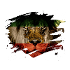 Persia Flag & African Lion Picture