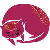 sweet sleeping cat