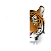 Tigre