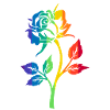 RAINBOW ROSE