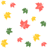 Autumn Love