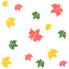 Feuilles d’automne