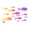 em fish