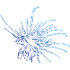 Diver - MEGASALE - Diving lionfish Lionfish