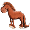 Cheval islandais