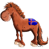 Cheval islandais