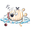 Sleeping Cat