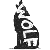 loup Noir sur Fond Étoilé