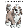 Happy Bearded Collie