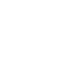 Chicago Illinois Skyline Souvenir