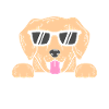 Labrador