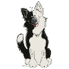 Cute Border Collie