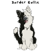 Border Collie comique