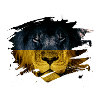 Ukraine Flag & African Lion Picture