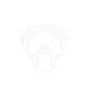 Rottweiler Kampfhund Tierschutz