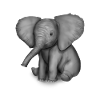 Bébé éléphant image éléphant