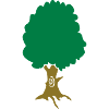 baum