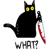 Chat noir Quoi ?