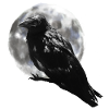 Black Raven with Moon Halloween Gift