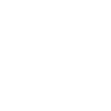 Vegvisir MT16
