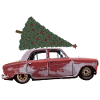 Classic car with fir tree