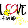 Love of my life greyhound