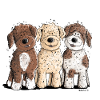 Lagotto Romagnolo Team I vandhund tegneseriehund