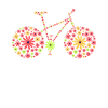 Bicycle 70s Flowers