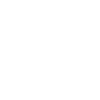 Wild Boar - Wildschwein - Keiler