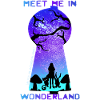 Meet Me In Wonderland