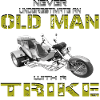 Bike Trike Chopper motorcycle