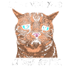 Funny cat