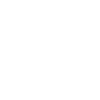 Beautiful in Chinese script