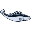 Big fish