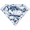DC Comics Superman Classic Logo Floral