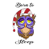 Owl, owl, owl, bird,