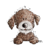 Sweet Lagotto Romagnolo I water dog cartoon dog