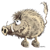 Funny wild boar